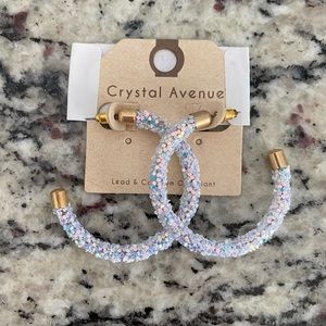 NWT hoop earrings